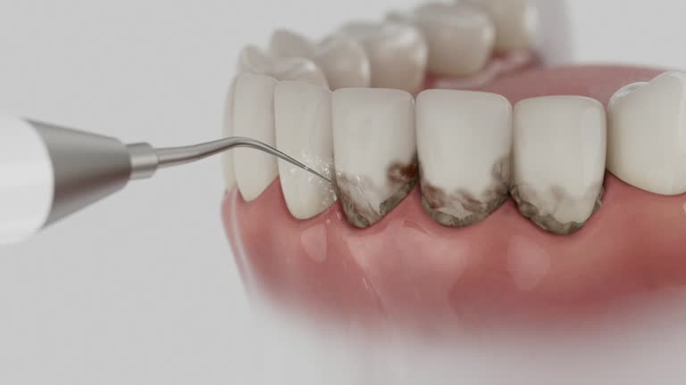 Reliable Dental contractor in Osceola, MO by Dentist Open Now
